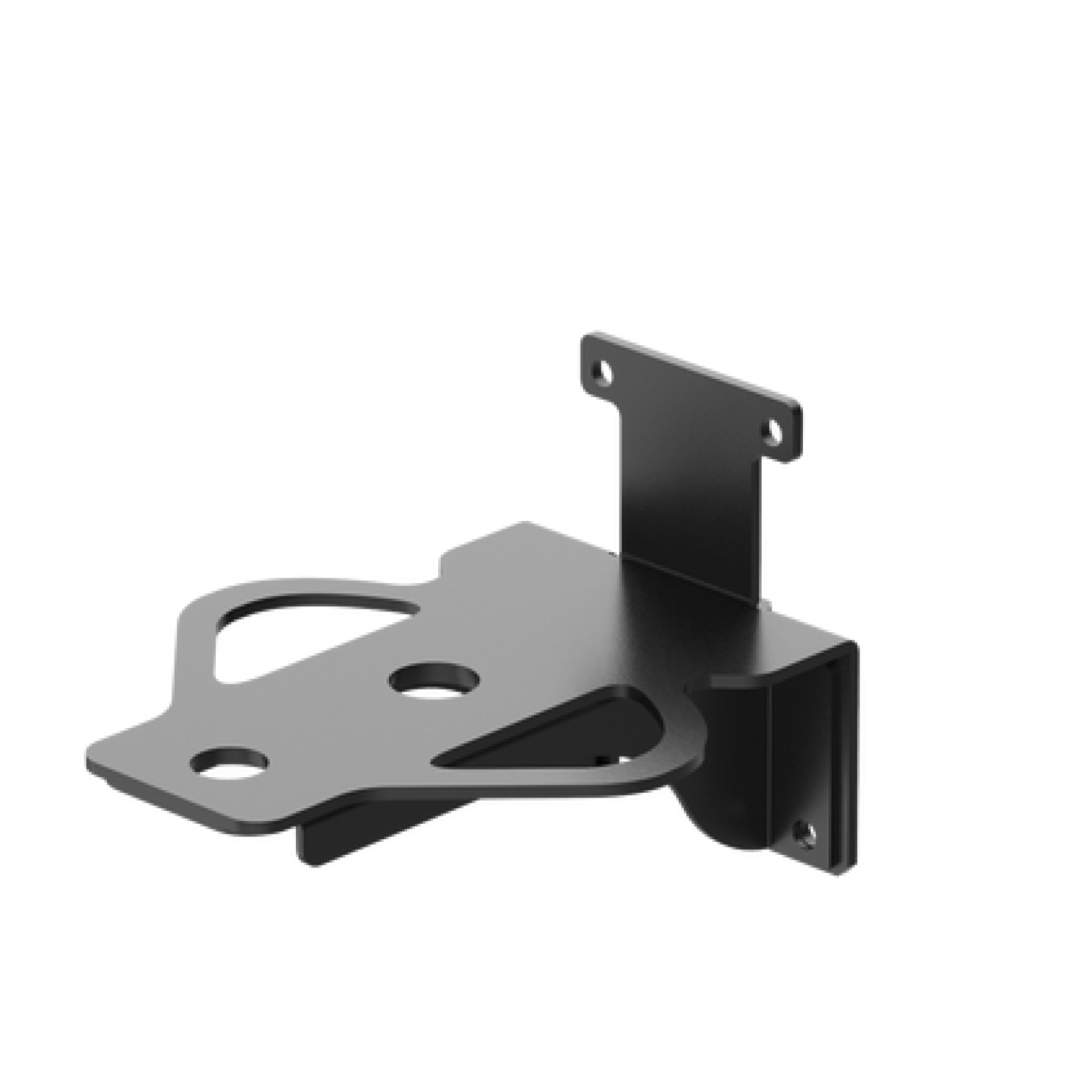 Back Brace Mount