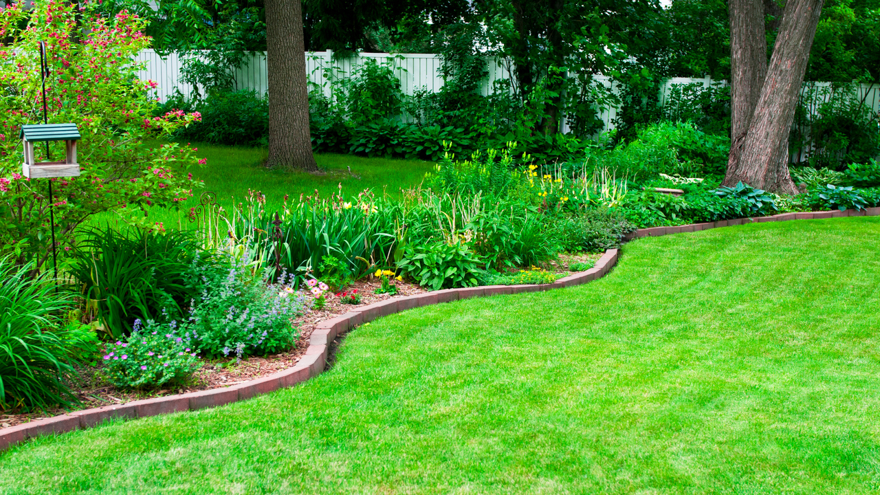 Do Robot Mowers Cut Edges-Cover Image
